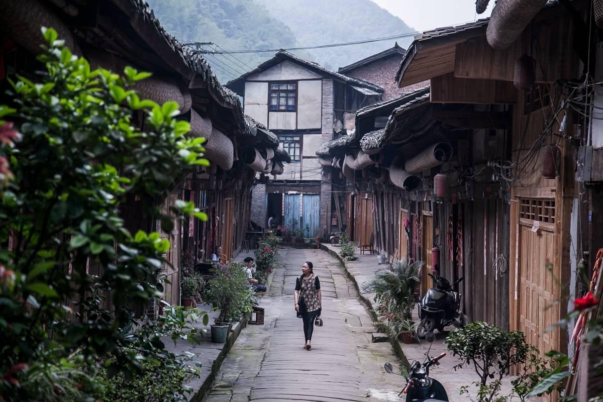 小猪仔要回家